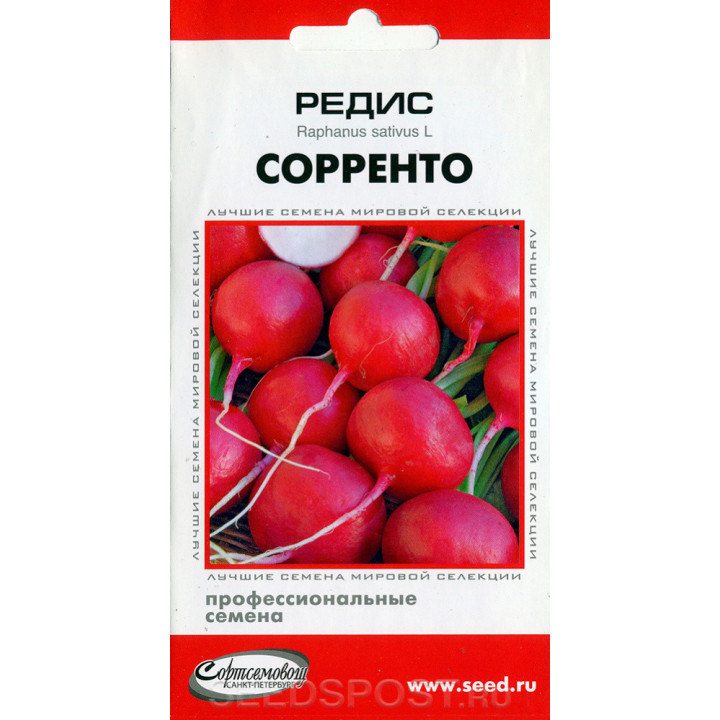 СОРЕНТО