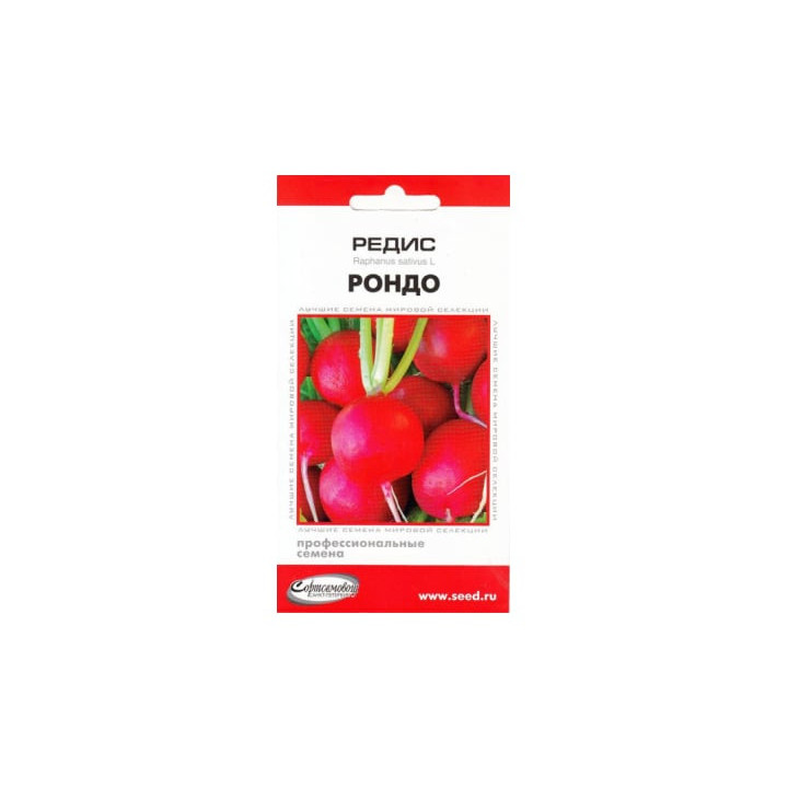 РОНДО