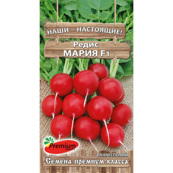 МАРИЯ