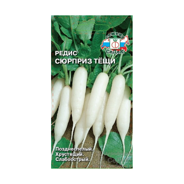 СЮРПРИЗ ТЕЩИ
