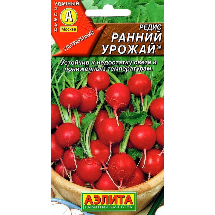 РАННИЙ УРОЖАЙ