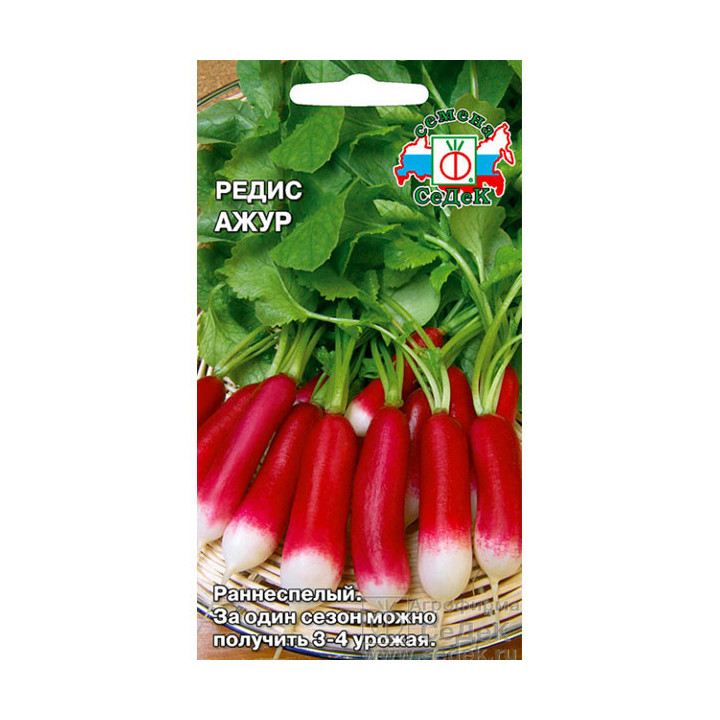 АЖУР