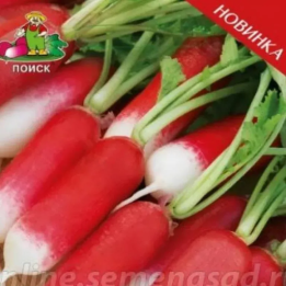 СМЕЛЬЧАК