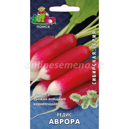 АВРОРА