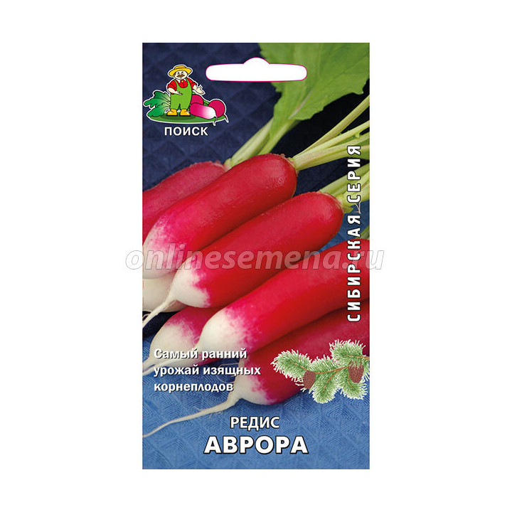АВРОРА