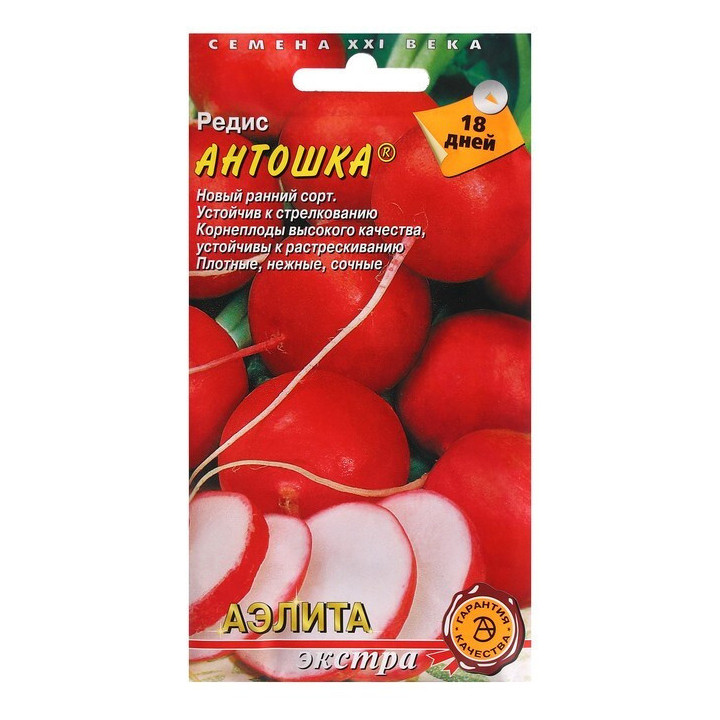 АНТОШКА