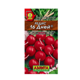 16 ДНЕЙ