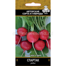 СПАРТАК