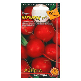 ПЕРВЕНЕЦ