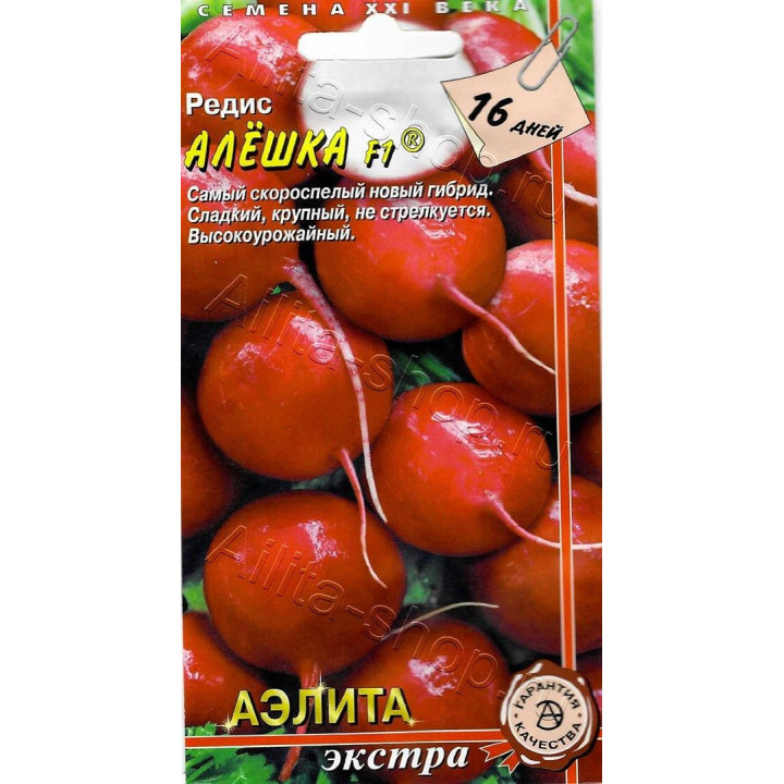 АЛЕШКА