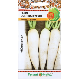 ОСЕННИЙ ГИГАНТ