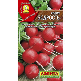 БОДРОСТЬ