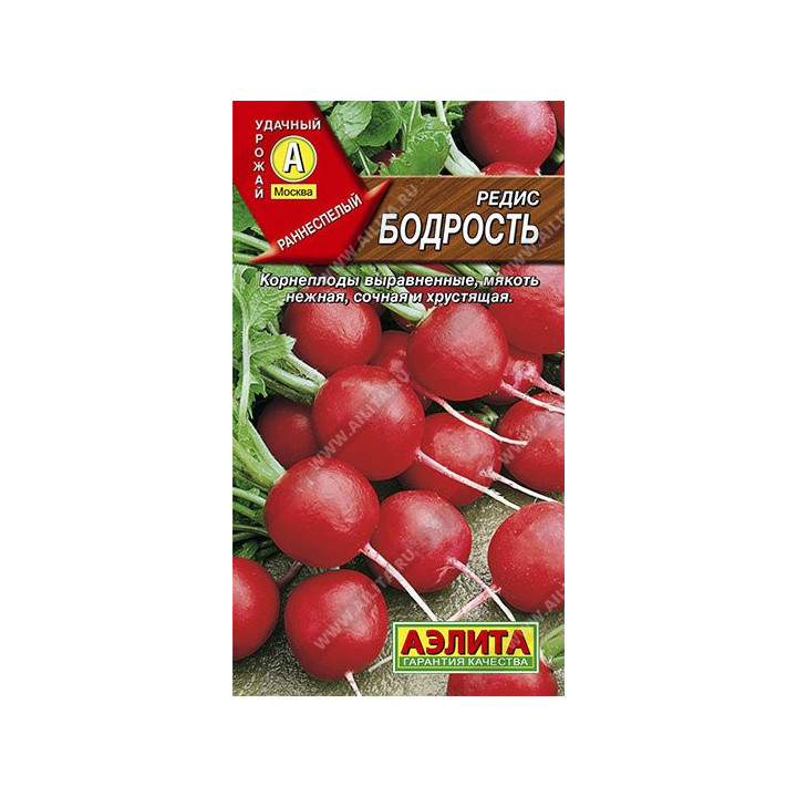 БОДРОСТЬ