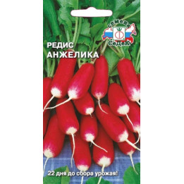 АНЖЕЛИКА