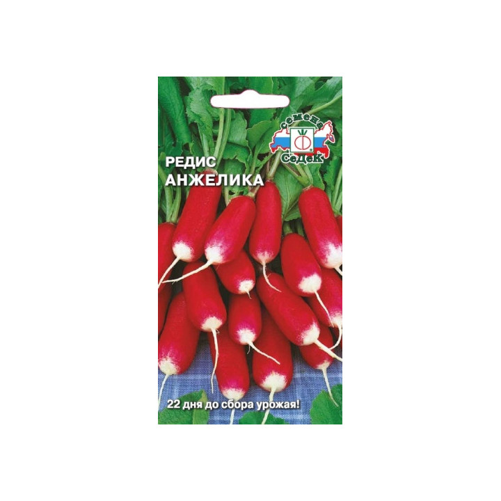 АНЖЕЛИКА
