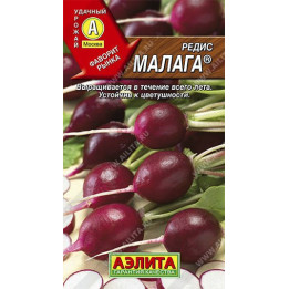 МАЛАГА