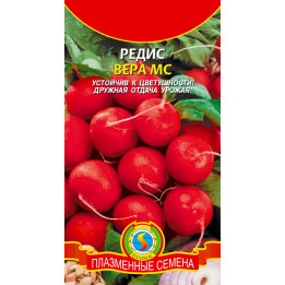 ВЕРА МС