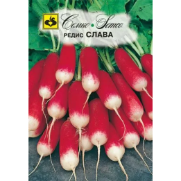 СЛАВА