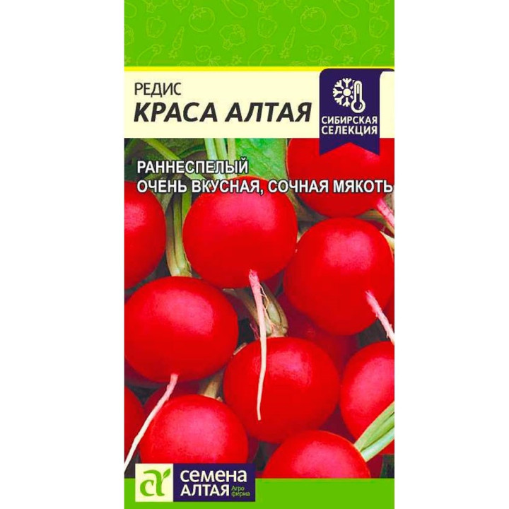 КРАСА АЛТАЯ