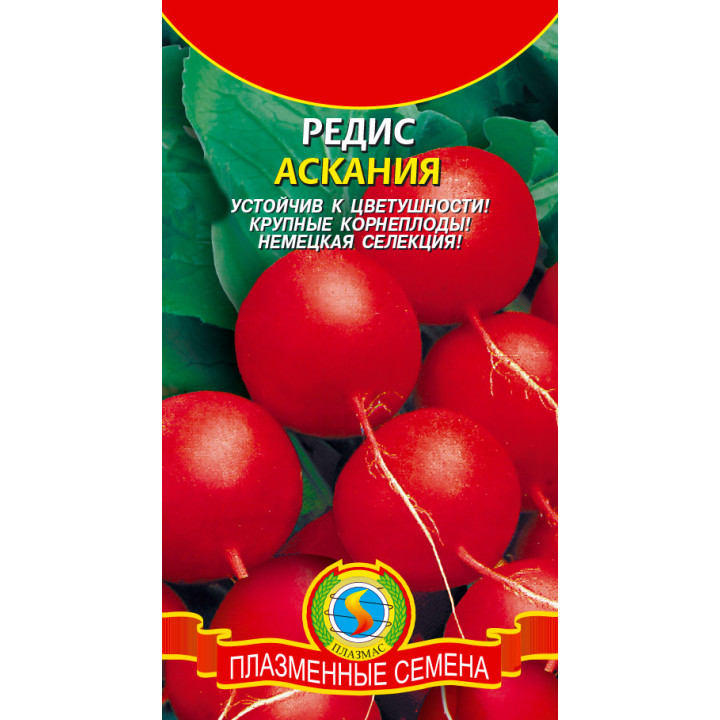 АСКАНИЯ