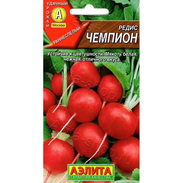 ЧЕМПИОН