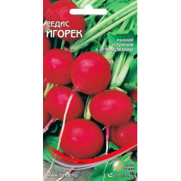 ИГОРЕК