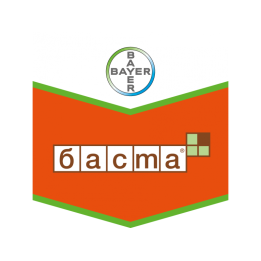 Баста