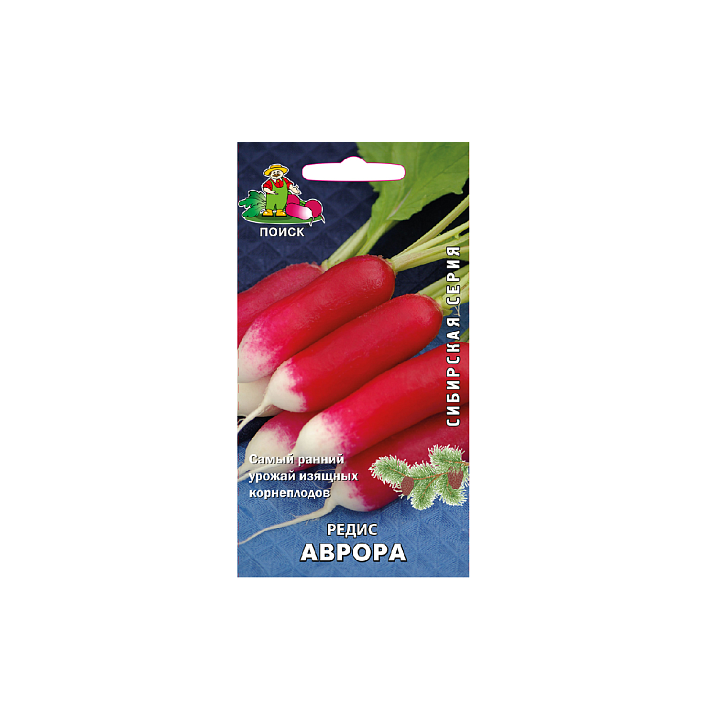 СИБИРЯЧКА