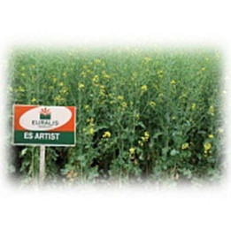 ЕС АРТИСТ