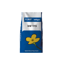 ИНВ 115