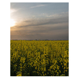 ГРАНИТ