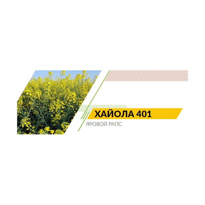 ХАЙОЛА 401