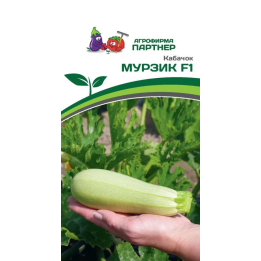 МУРЗИК