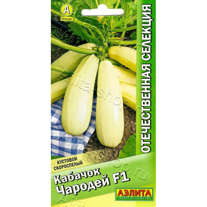 ЧАРОДЕЙ