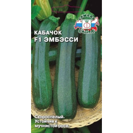 ЭМБЭССИ