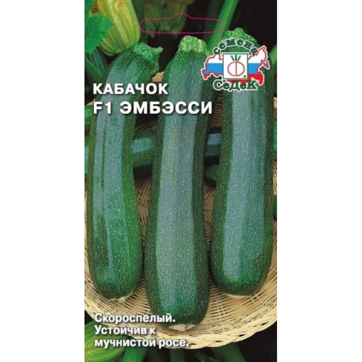 ЭМБЭССИ