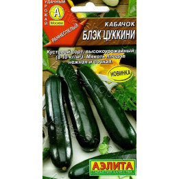БЛЭК ЦУККИНИ