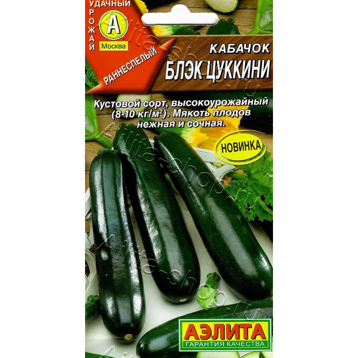 БЛЭК ЦУККИНИ
