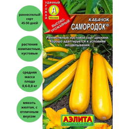 САМОРОДОК