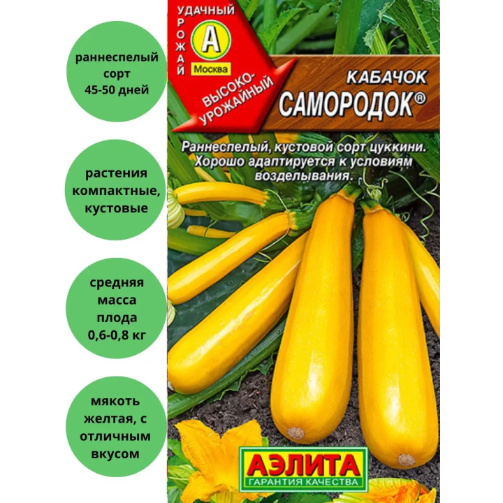 САМОРОДОК