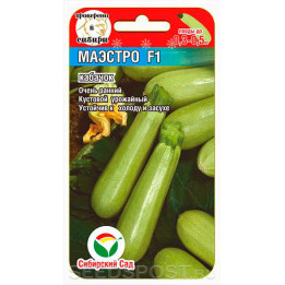 МАЭСТРО