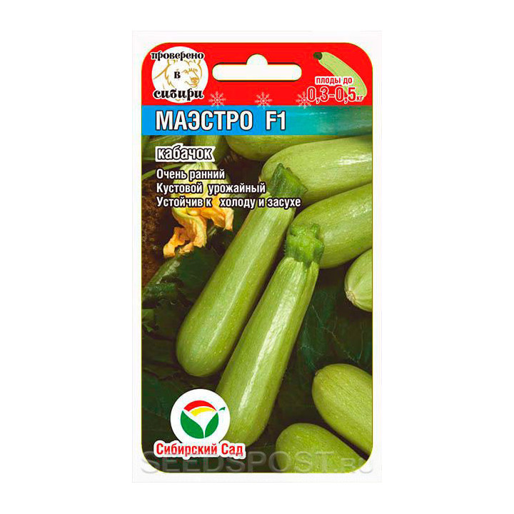 МАЭСТРО