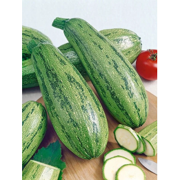 КАСЕРТА