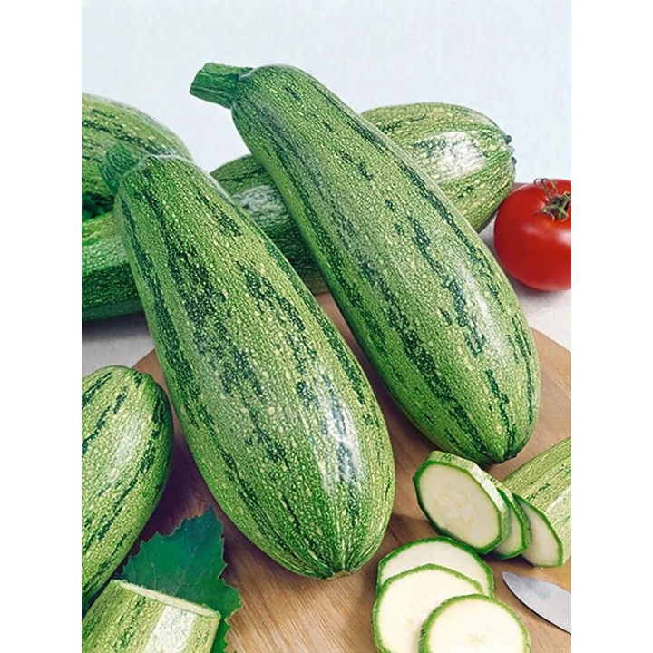 КАСЕРТА