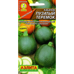 ТЕРЕМОК