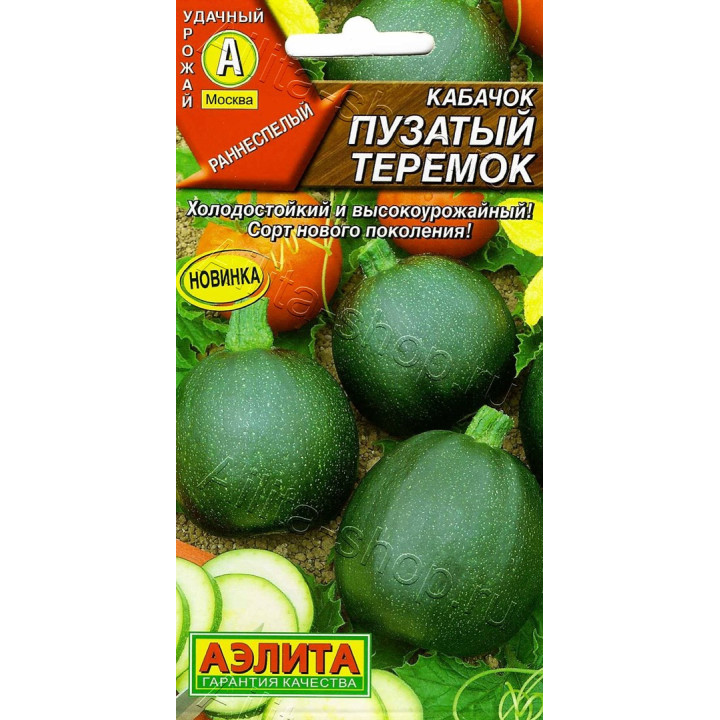 ТЕРЕМОК