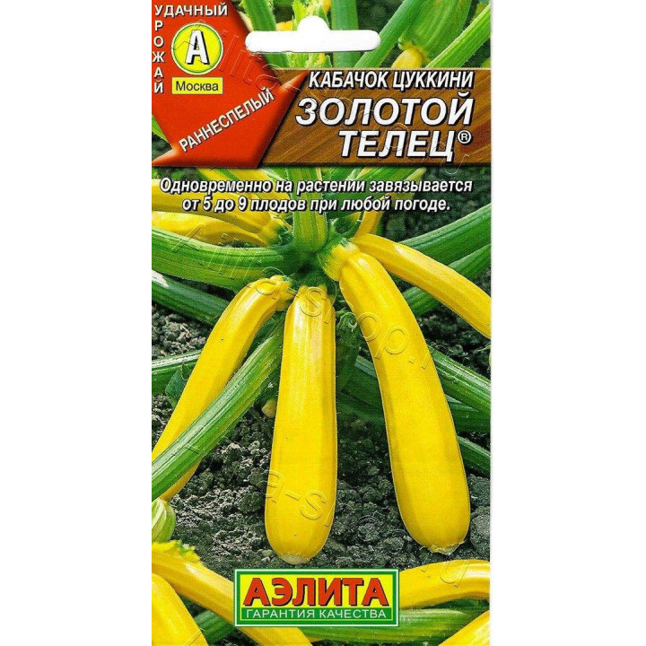 ЗОЛОТОЙ ТЕЛЕЦ