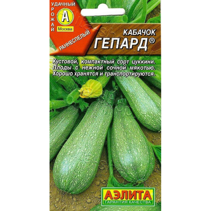 ГЕПАРД
