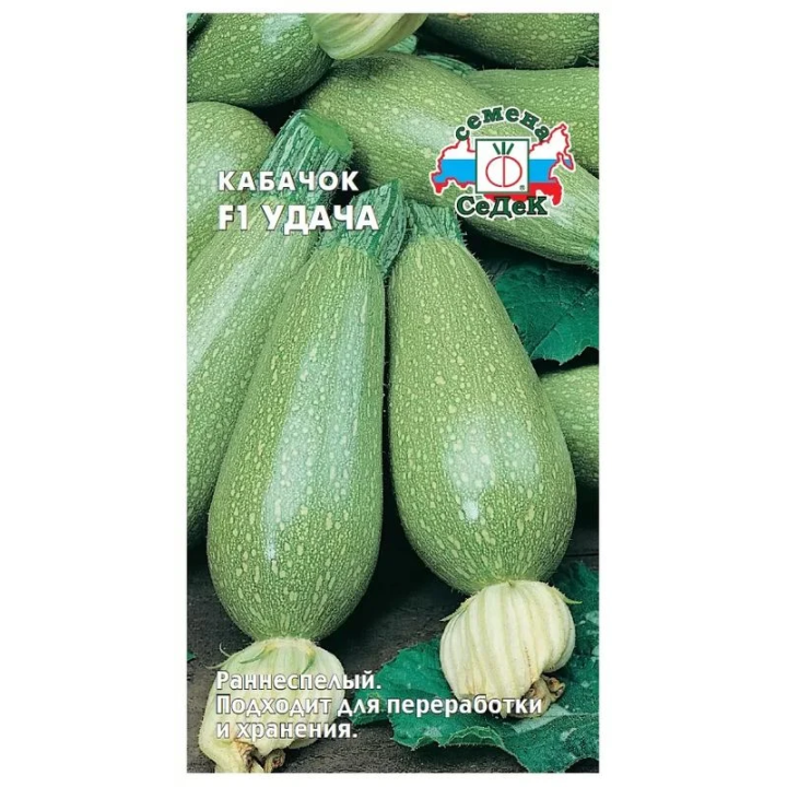 УДАЧА