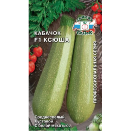 КСЮША